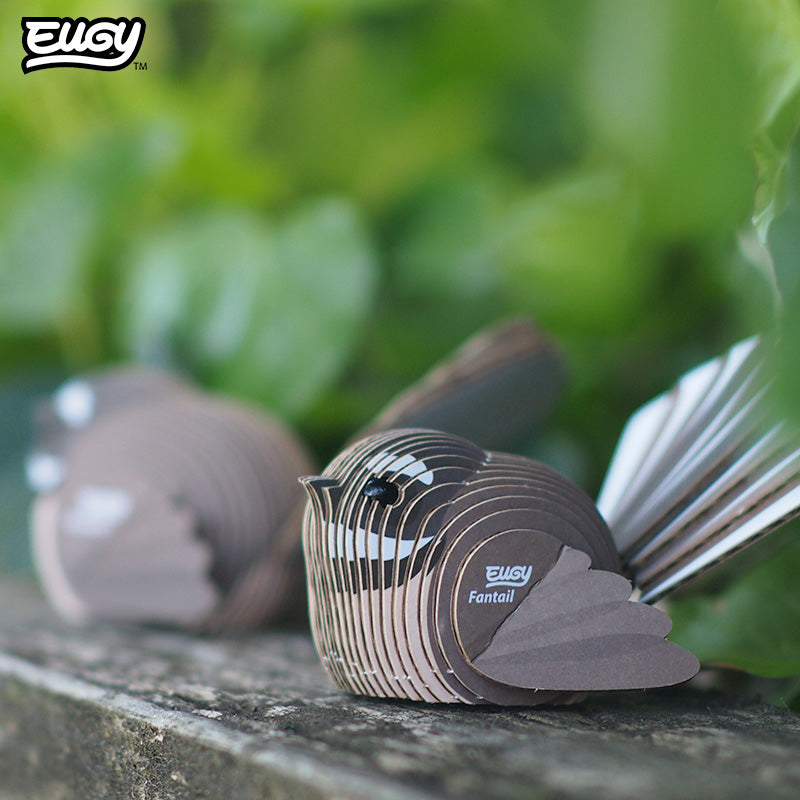 002 Fantail (Pīwakawaka)