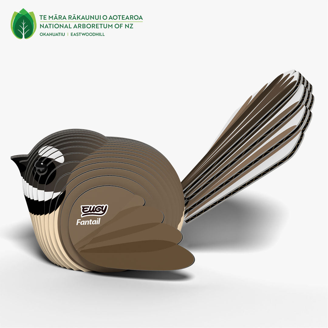 002 Fantail (Pīwakawaka)