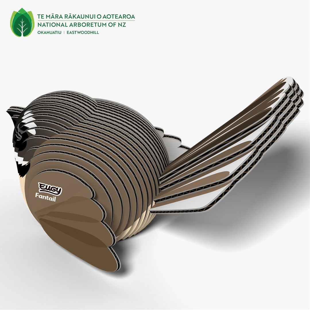 002 Fantail (Pīwakawaka)