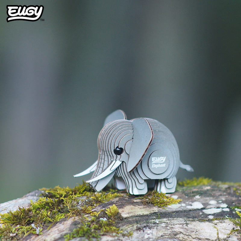 010 Elephant