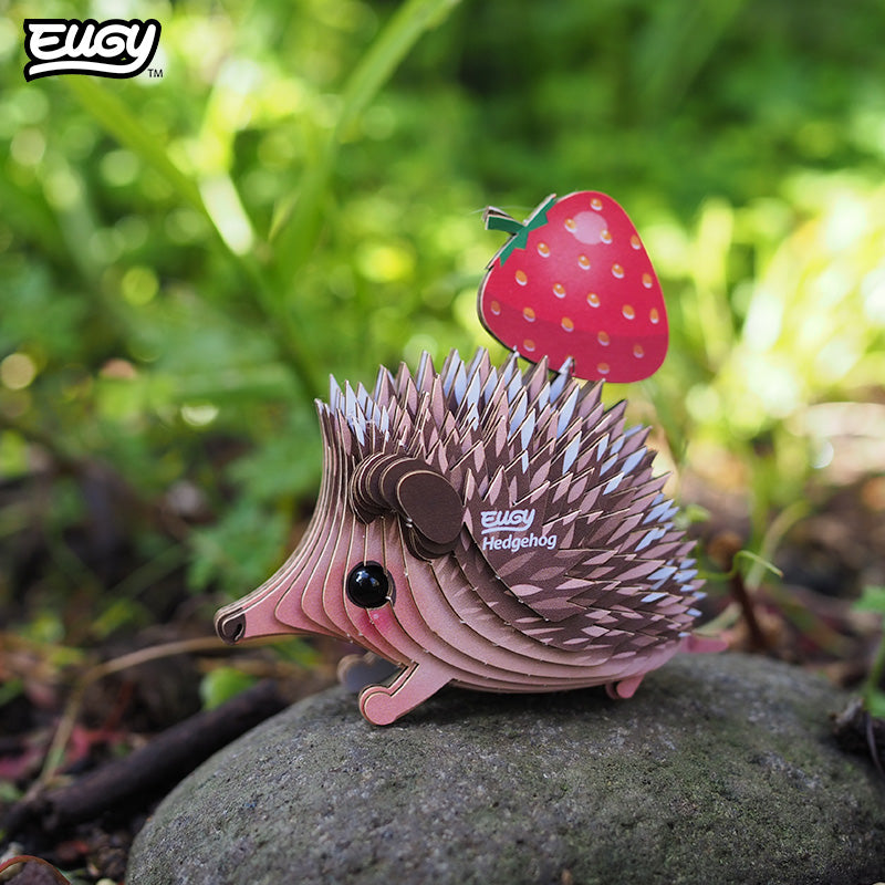 026 Hedgehog