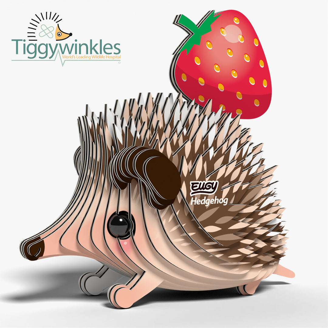 026 Hedgehog
