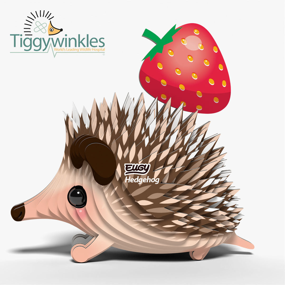 026 Hedgehog