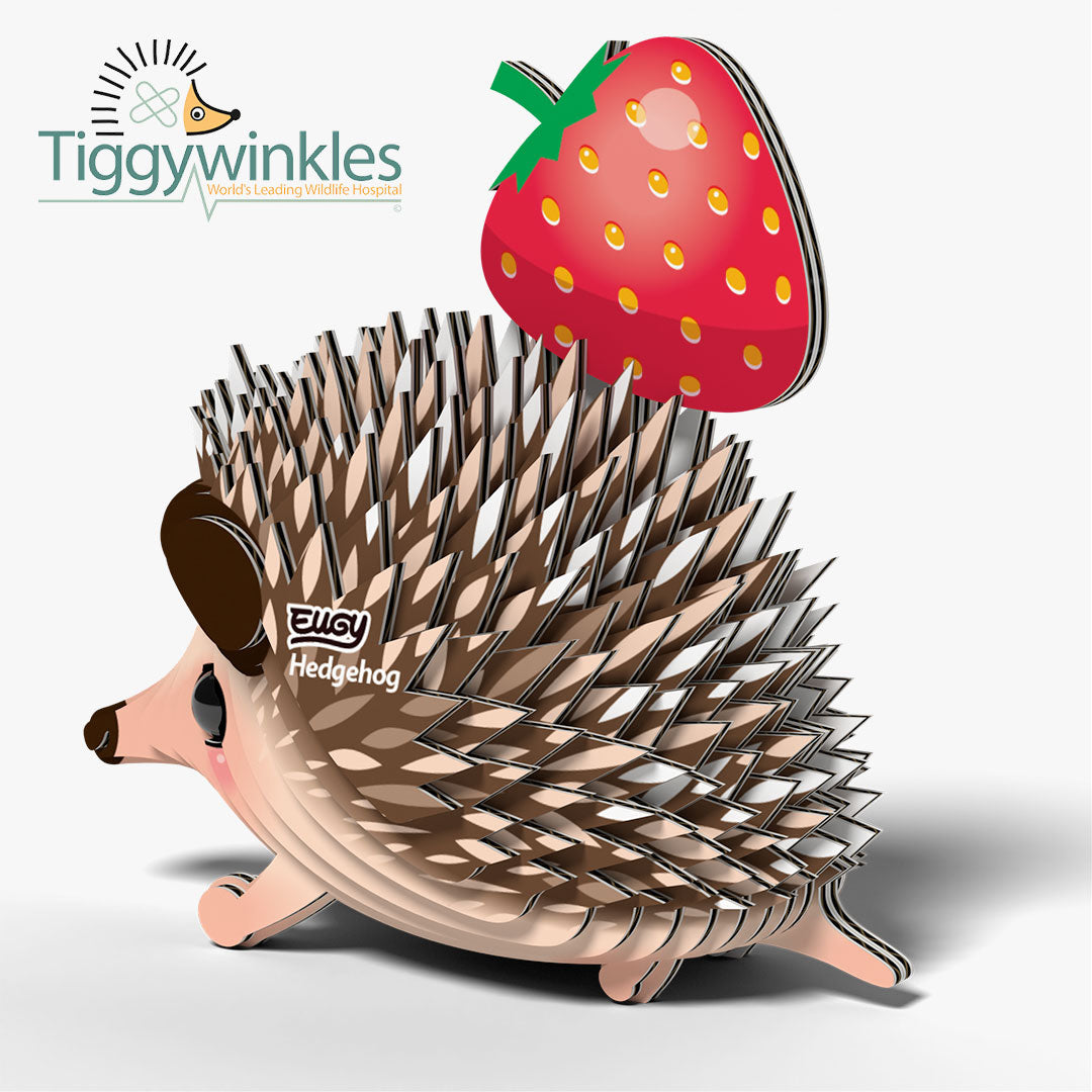 026 Hedgehog