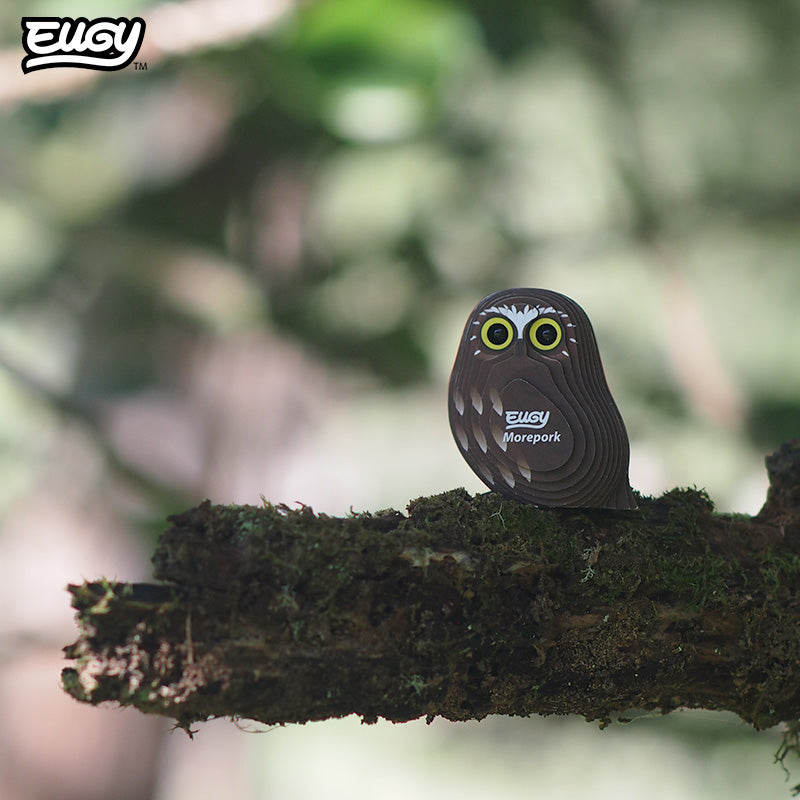036 Morepork (Ruru)