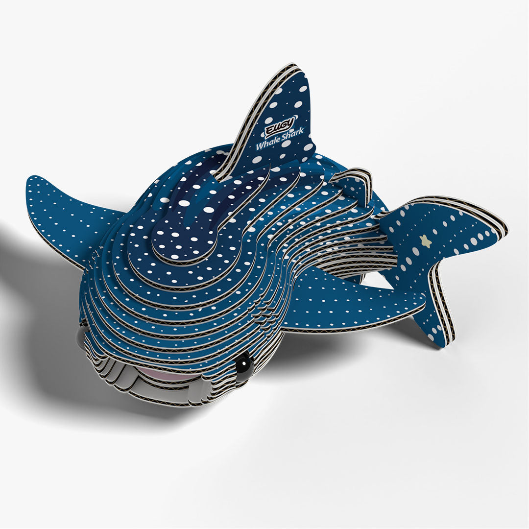 049 Whale Shark