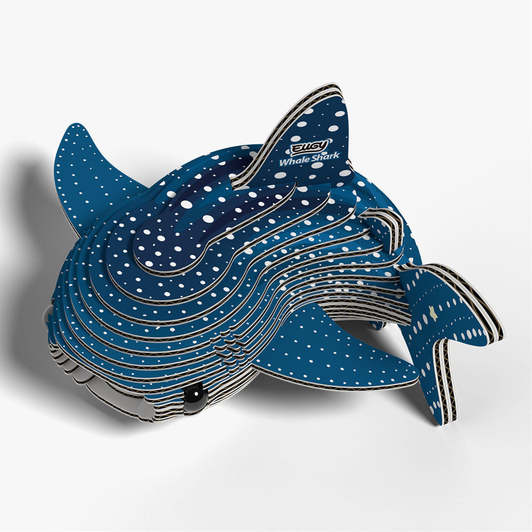 049 Whale Shark