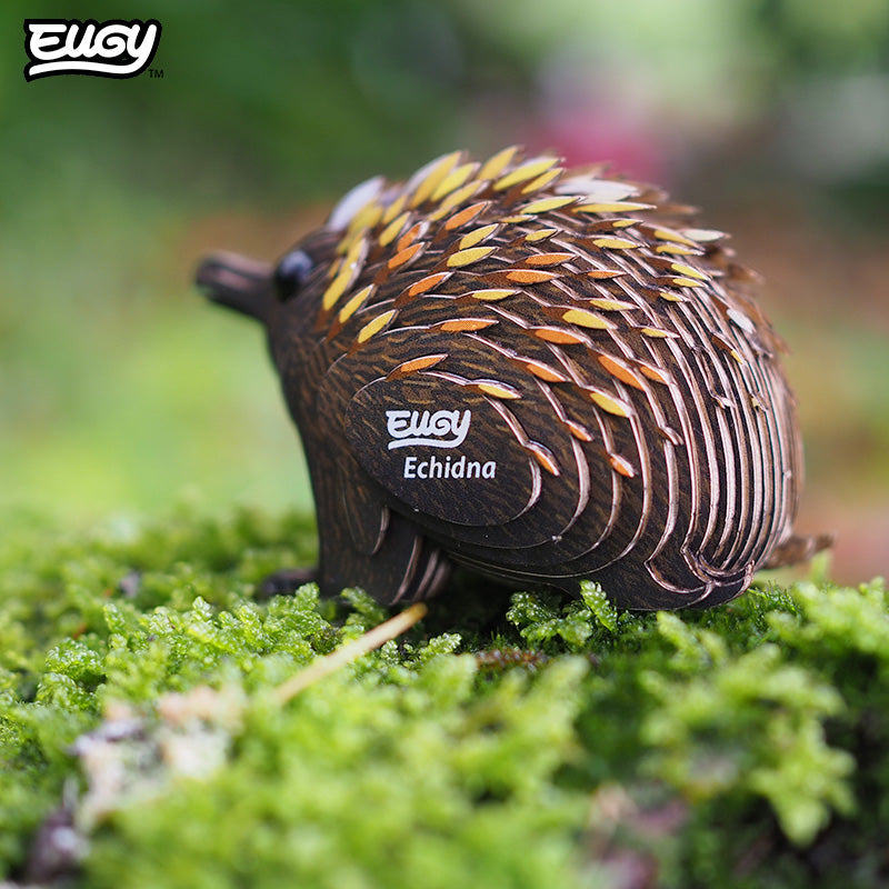 058 Echidna