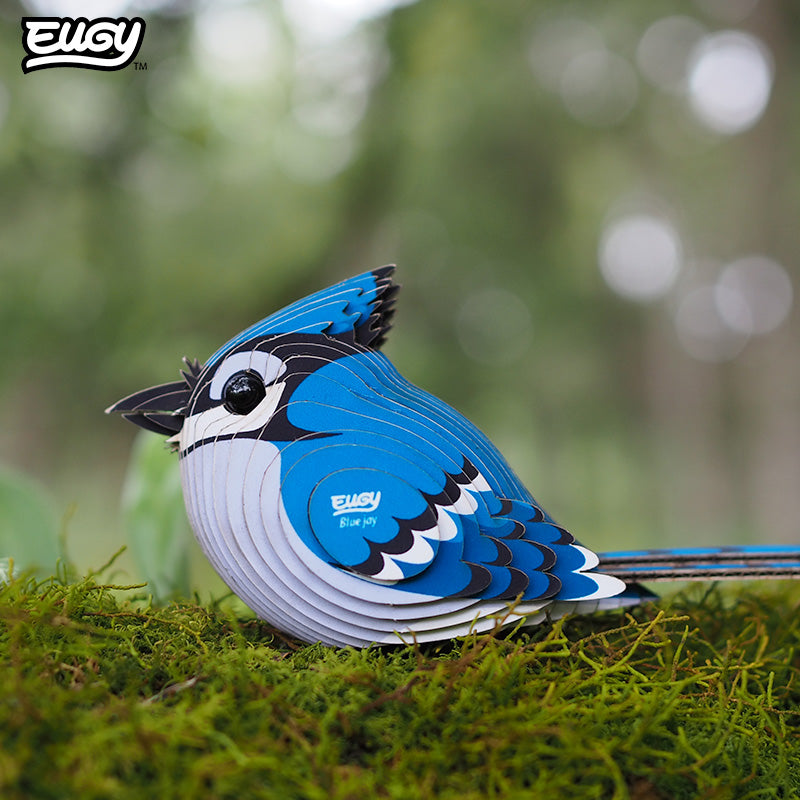 067 Blue Jay