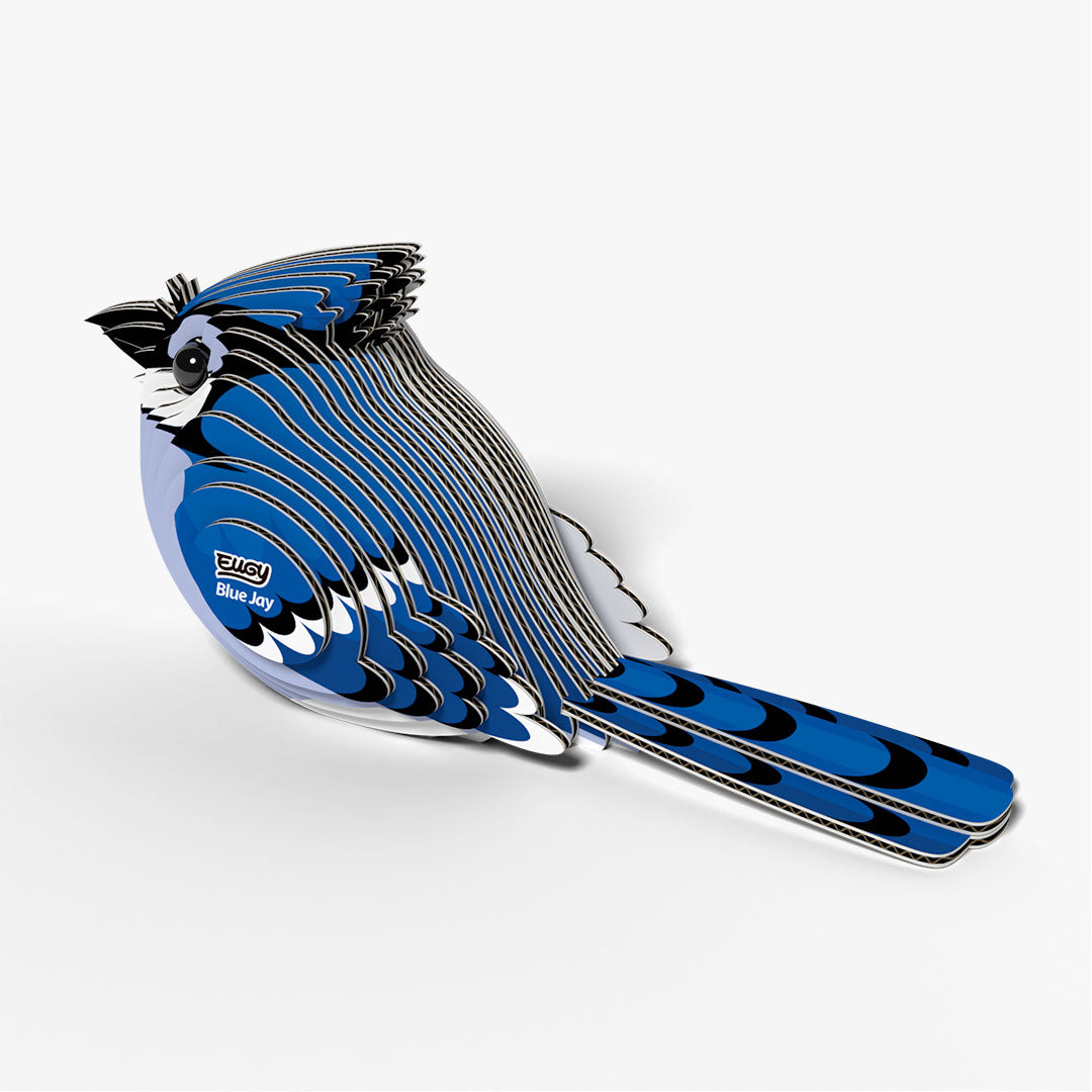 067 Blue Jay