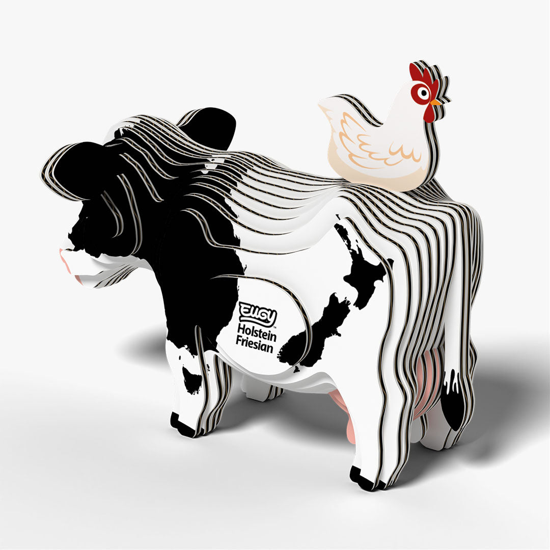 079 Holstein Fresian