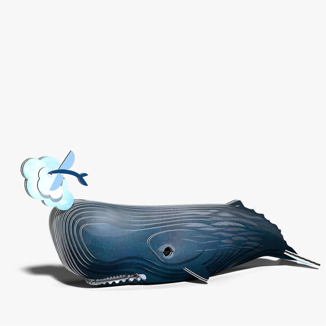 092 Sperm Whale