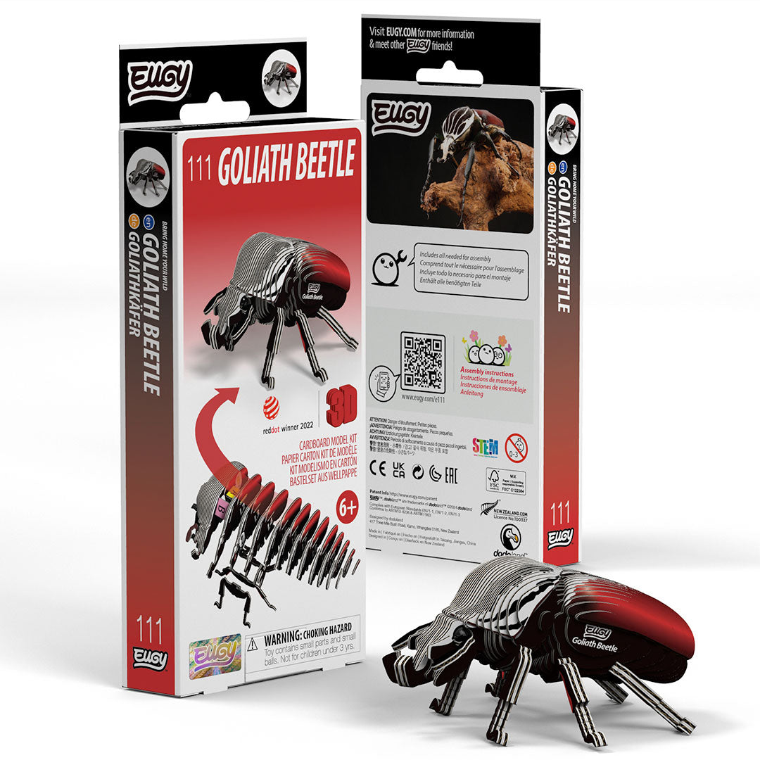 111 Goliath Beetle