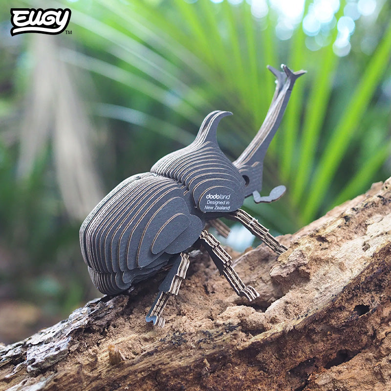 113 Rhino Beetle