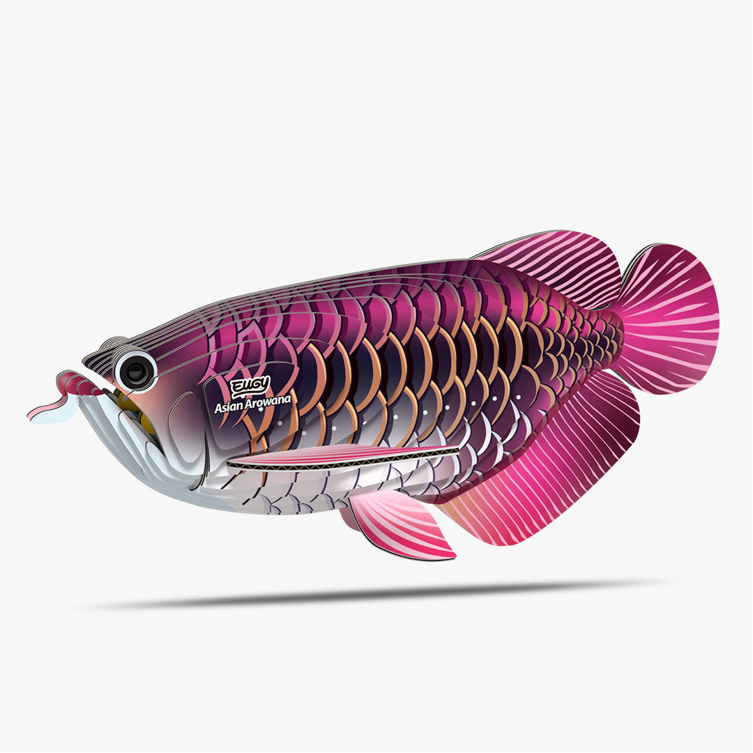 118 Asian Arowana