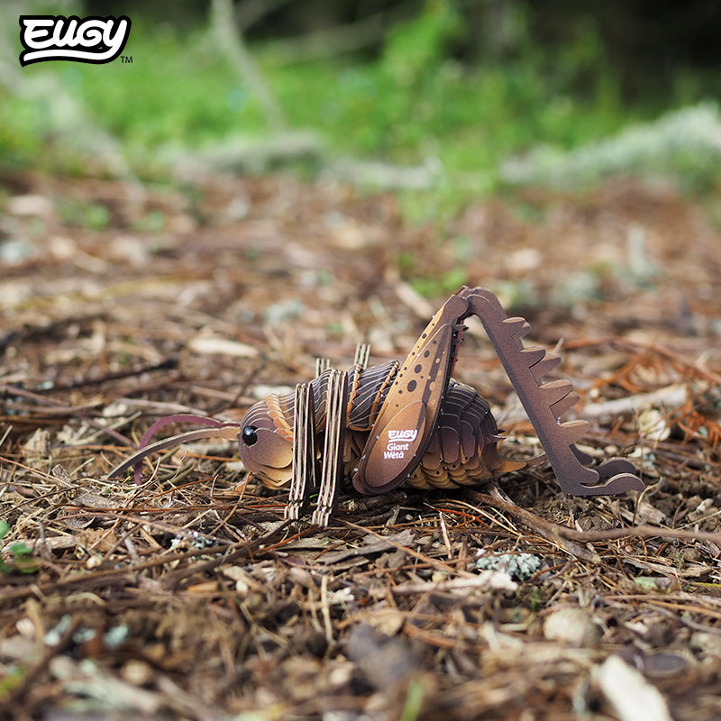 119 Giant Wētā