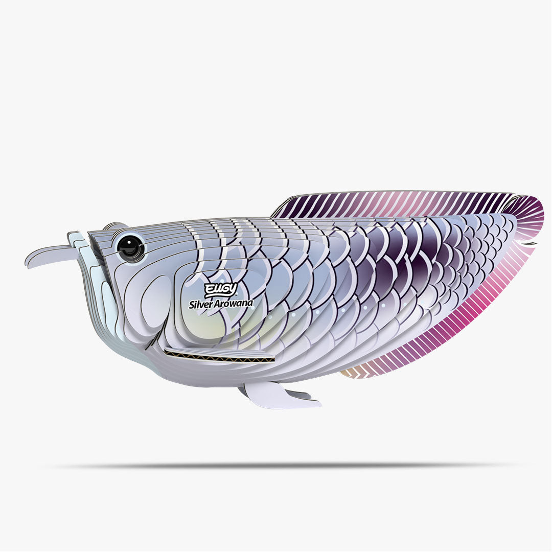 124 Silver Arowana – EUGY