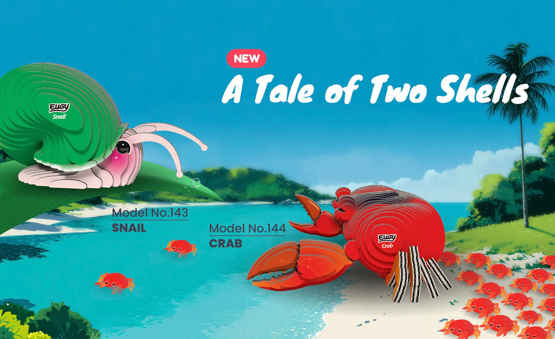 A Tale of Two Shells