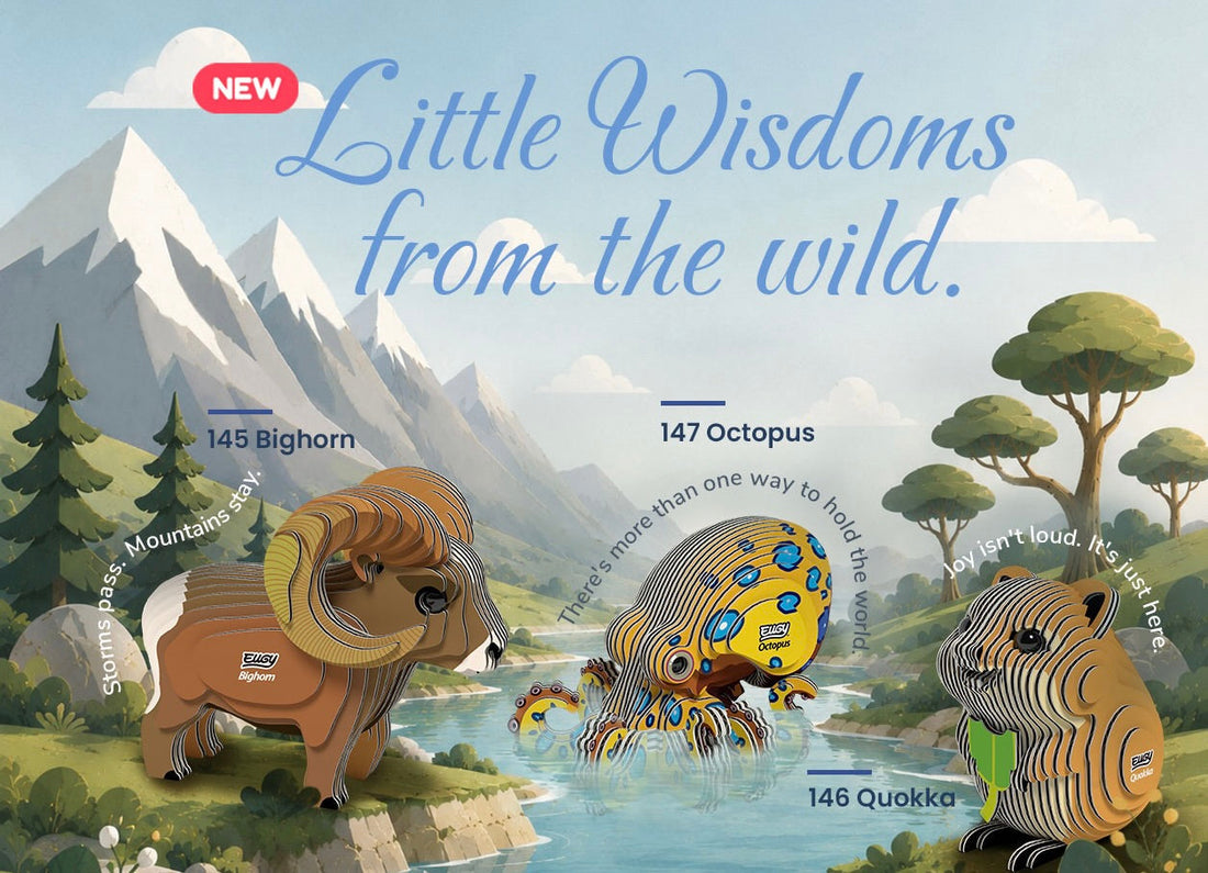 Little Wisdoms from the Wild: Three Quiet Wise Ones Have Arrived