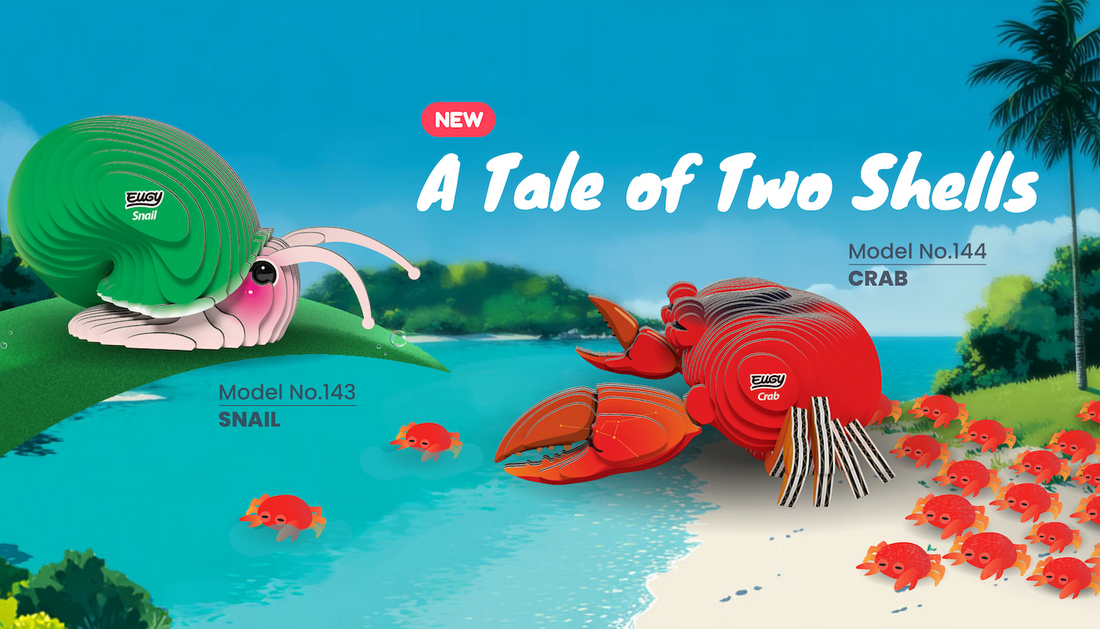 A Tale of Two Shells