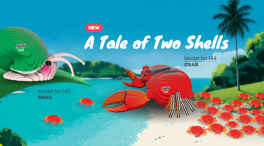 A Tale of Two Shells