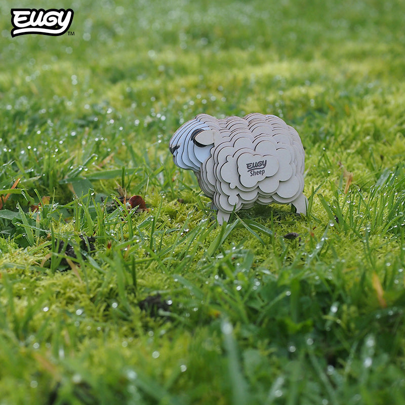 018 Sheep – EUGY