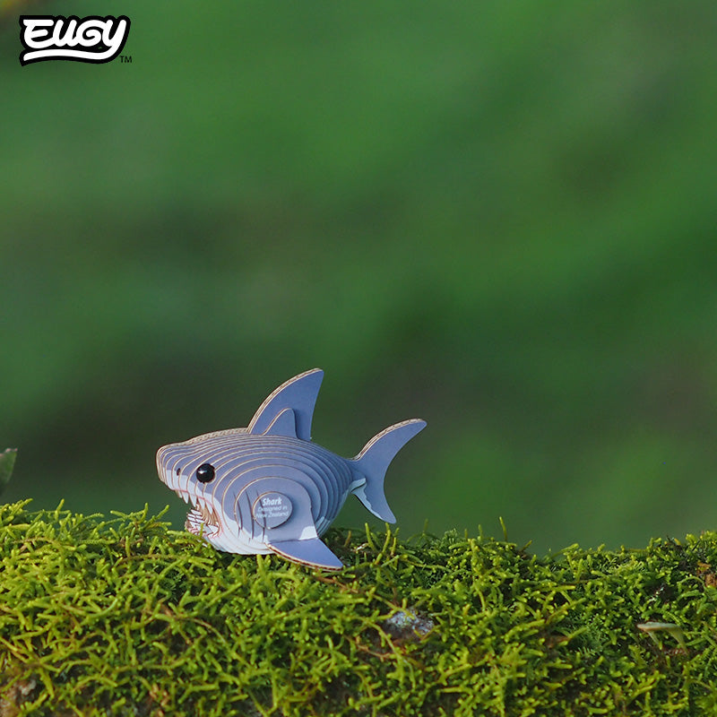 019 Shark – EUGY