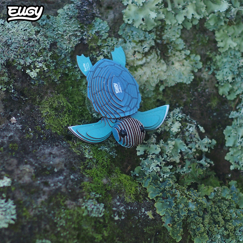 038 Turtle – EUGY