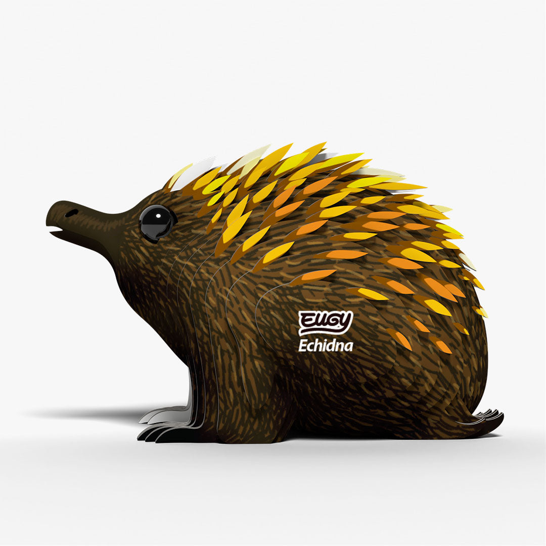 058 Echidna – EUGY