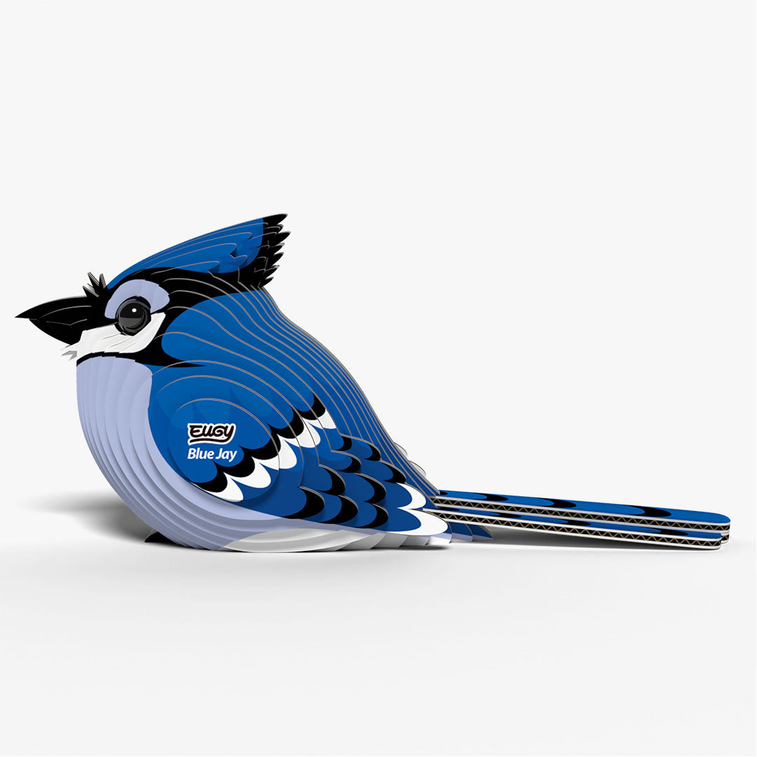 067 Blue Jay – EUGY