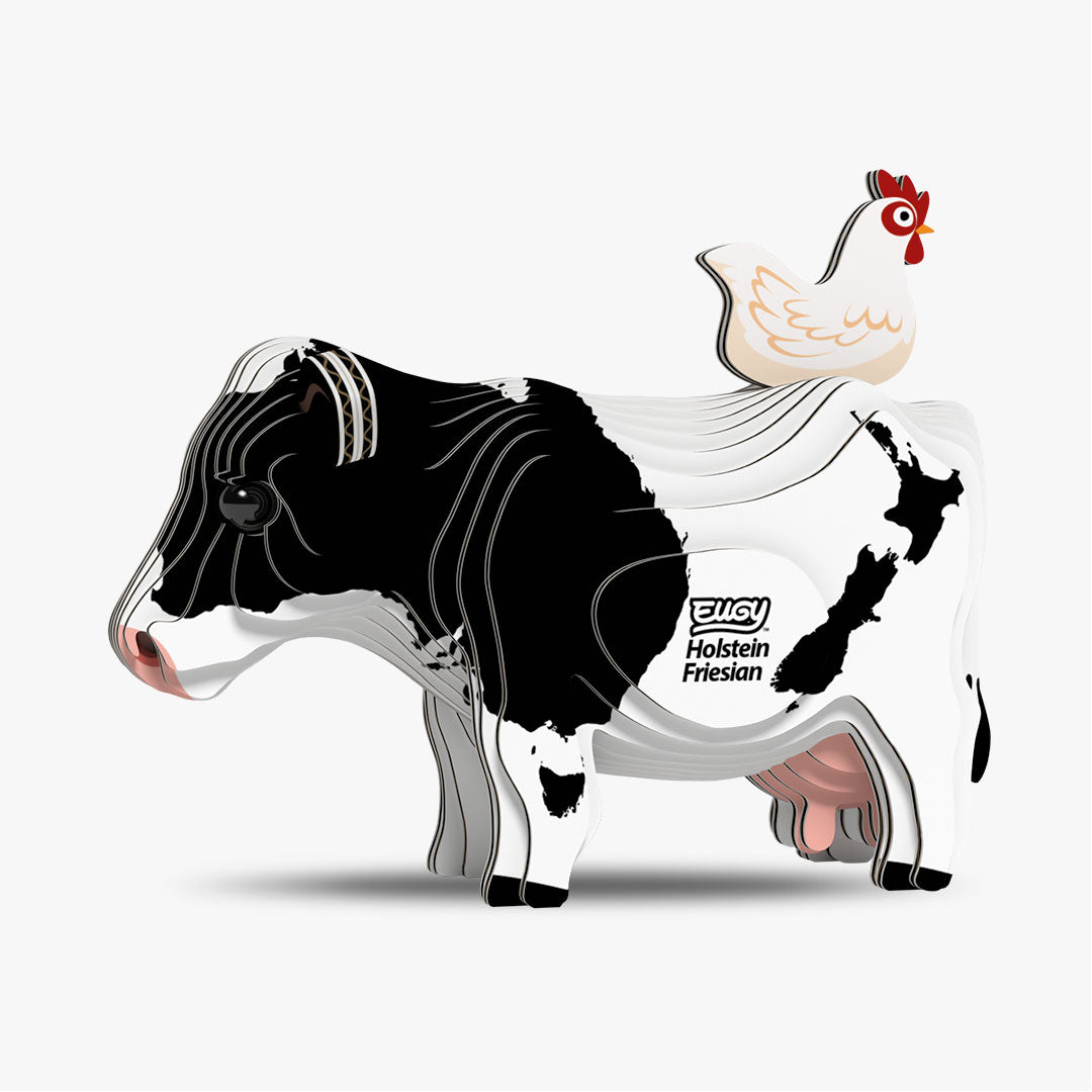 079 Holstein Friesian