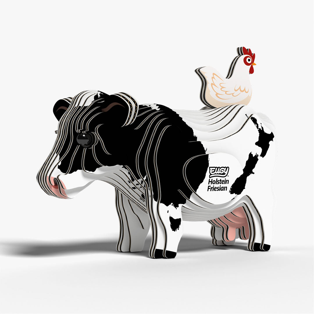 079 Holstein Friesian