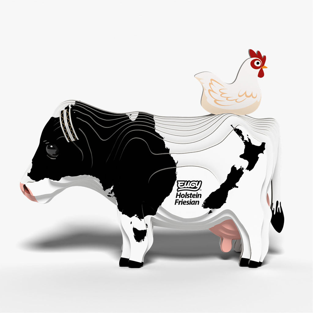 079 Holstein Friesian