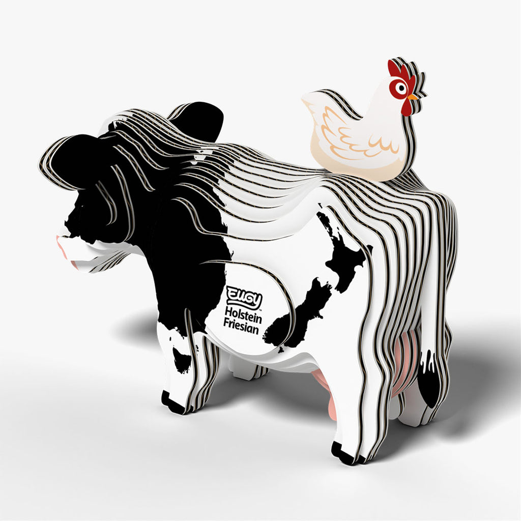 079 Holstein Friesian