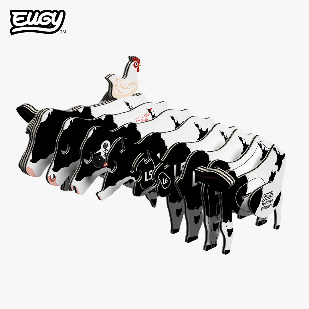 079 Holstein Friesian