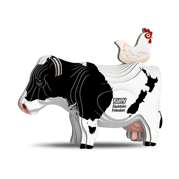079 Holstein Friesian