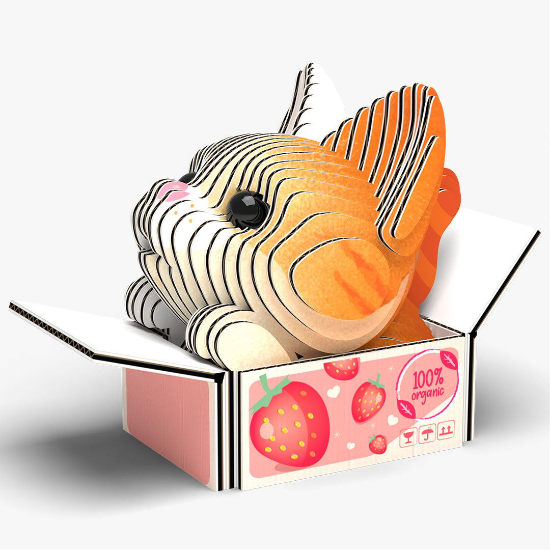 087 CAT Pumpkin – EUGY