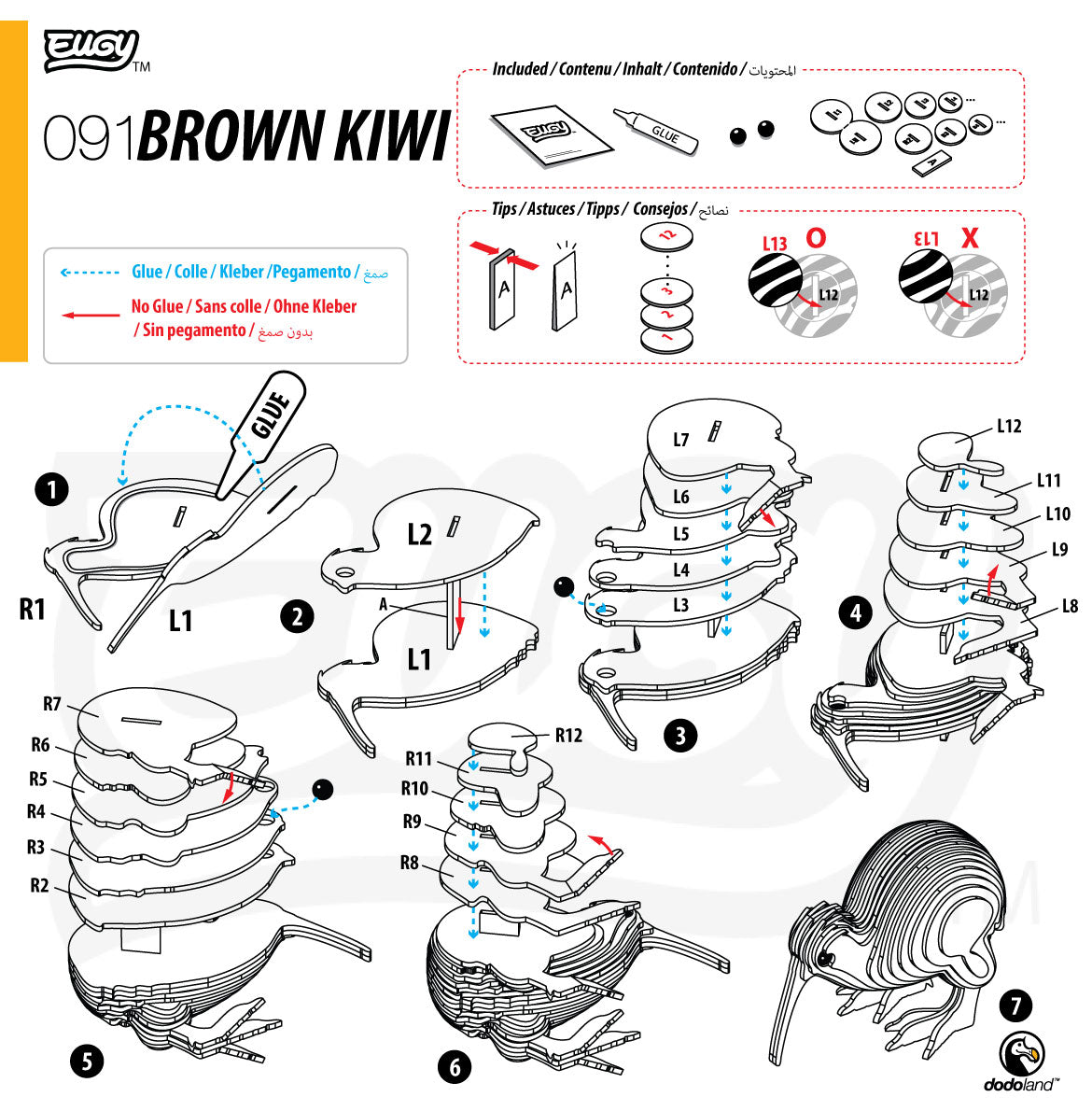 091 Brown Kiwi – EUGY