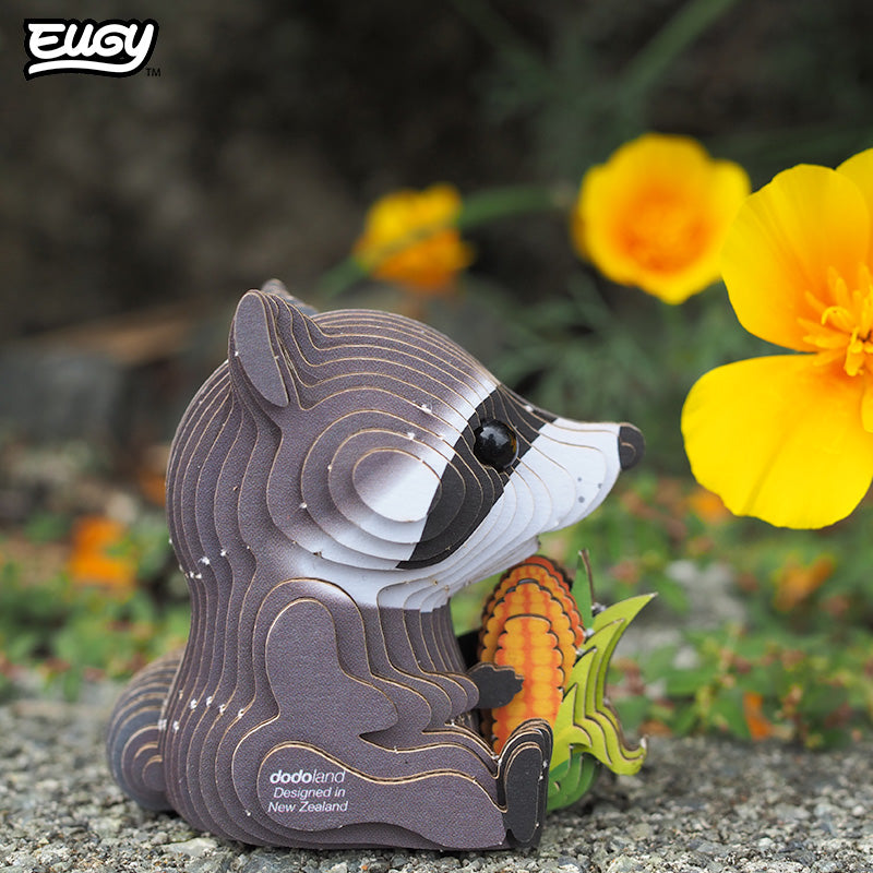 103 Raccoon – EUGY