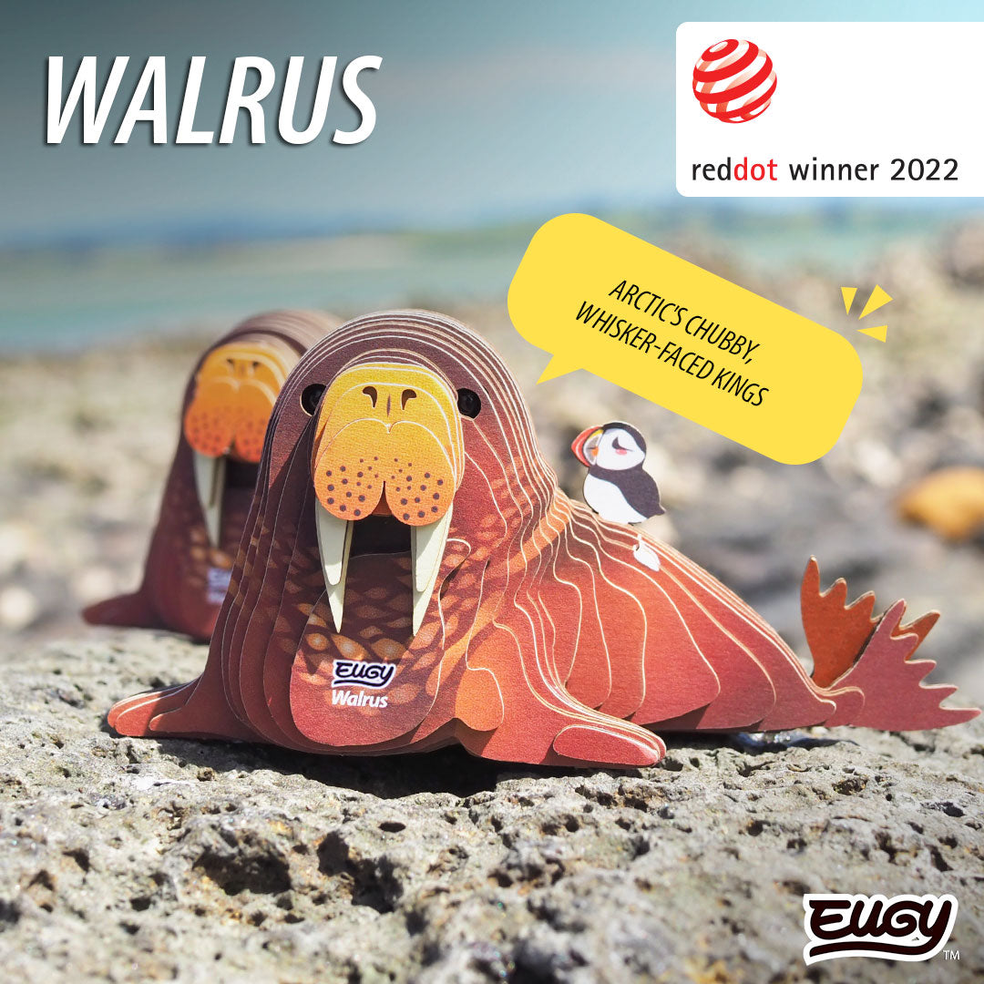 107 Walrus
