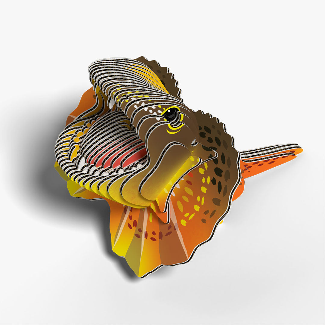 108 Frilled Lizard – EUGY