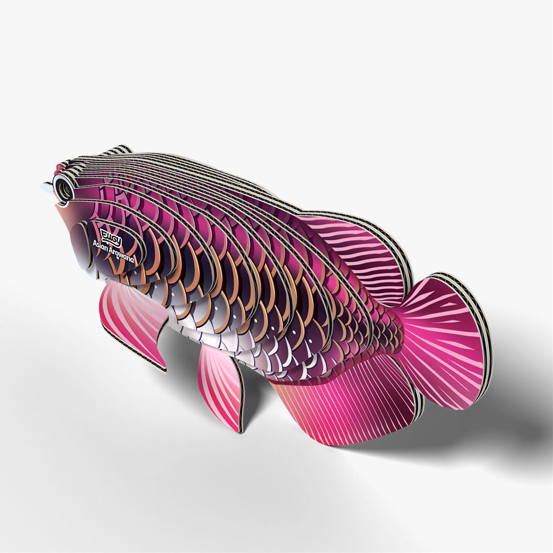Arowana Asian The 趣味・スポーツ・実用 by Arowana Asian Chua & Goh 趣味・スポーツ・実用