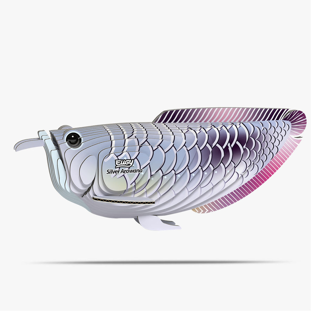 124 Silver Arowana