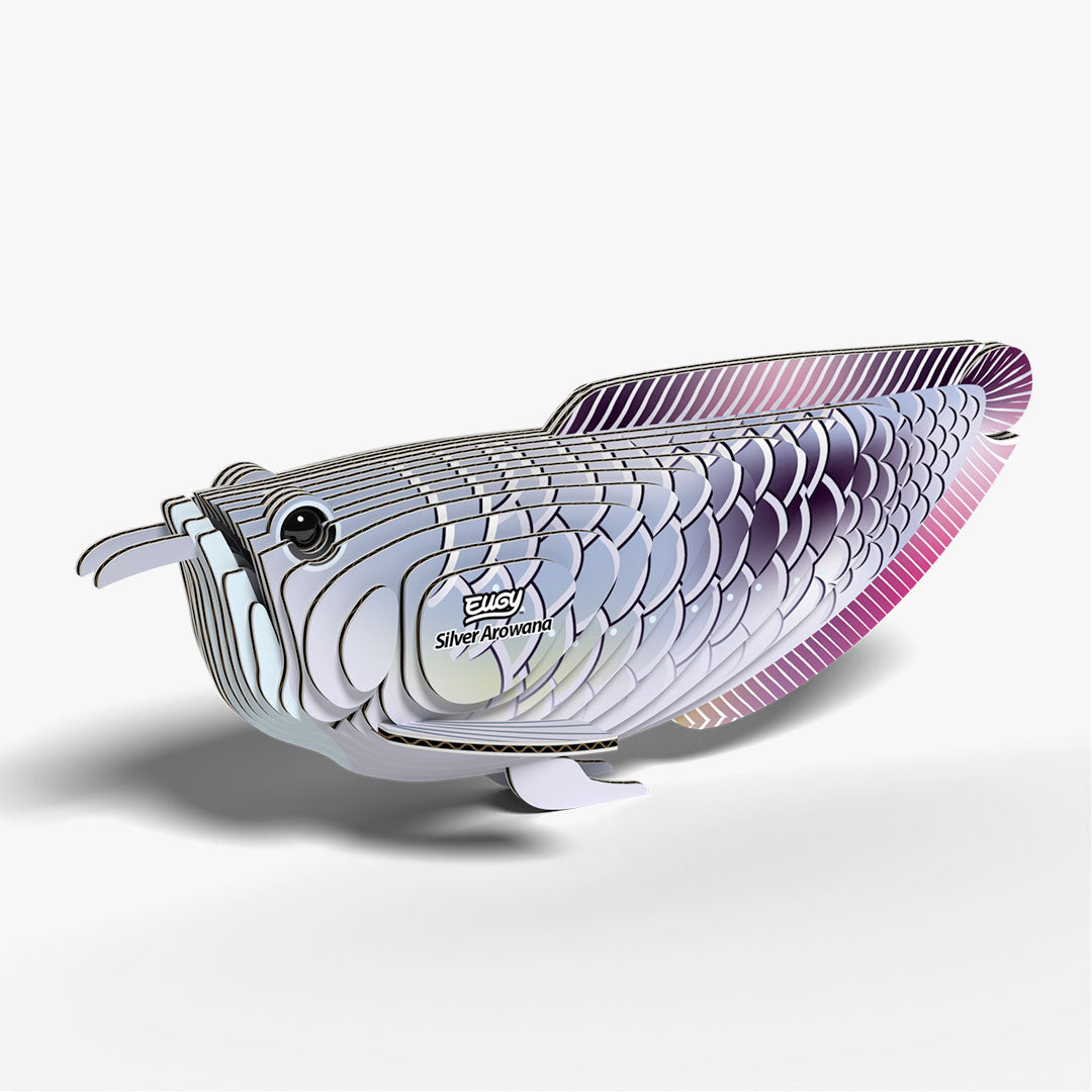 124 Silver Arowana – EUGY