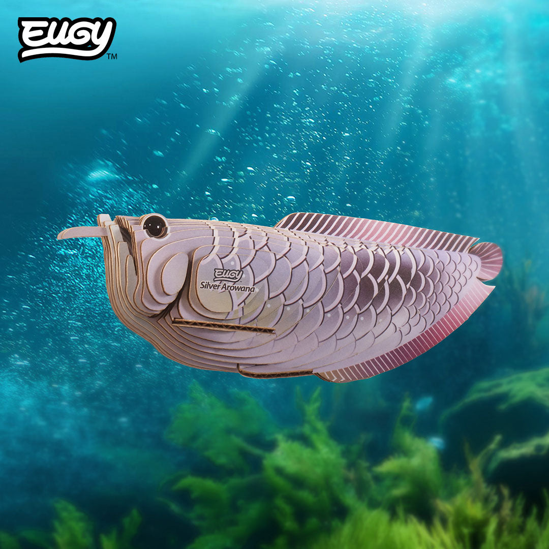 124 Silver Arowana – EUGY