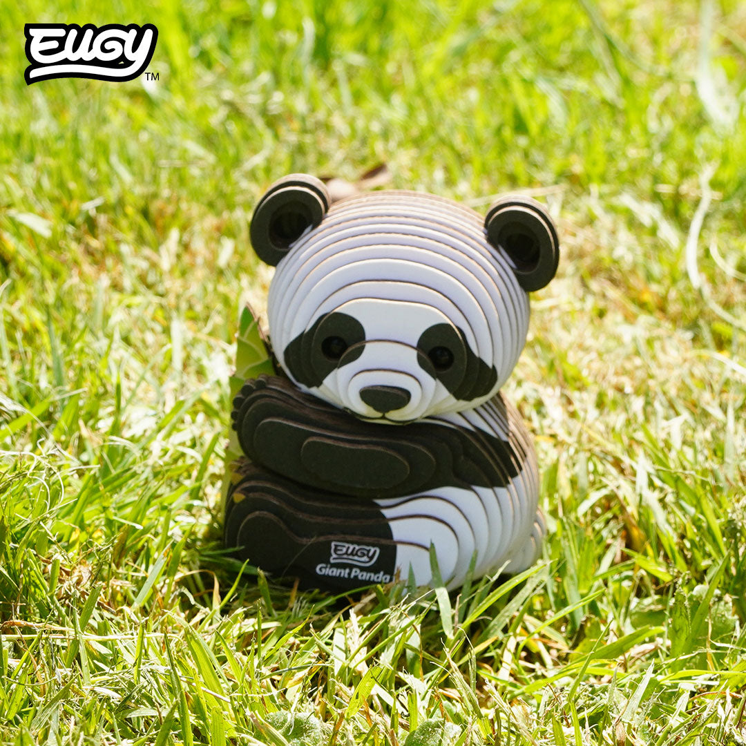 142 Giant Panda – EUGY
