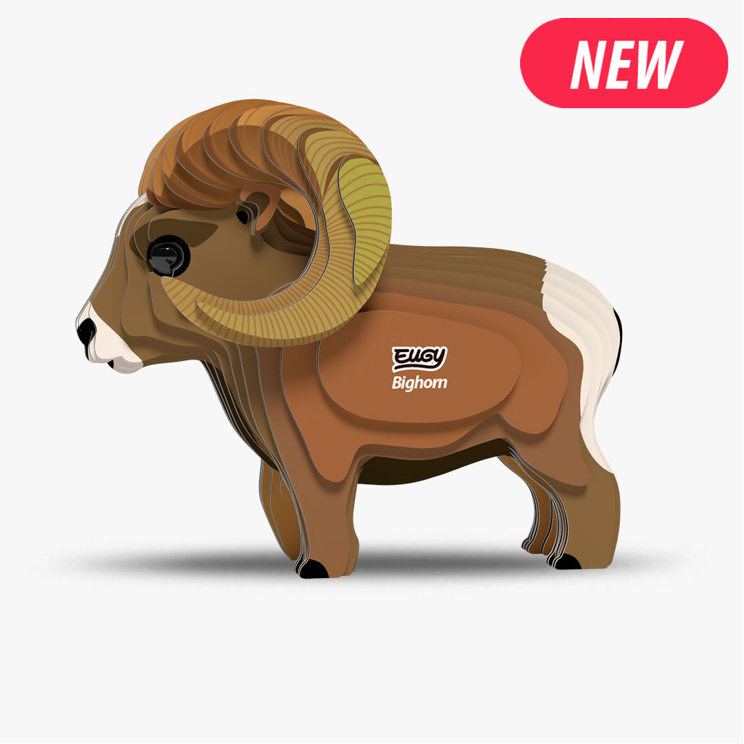 145 Bighorn