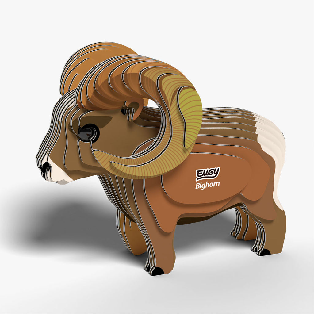 145 Bighorn
