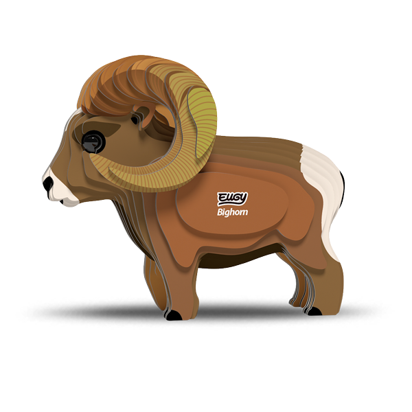 145 Bighorn
