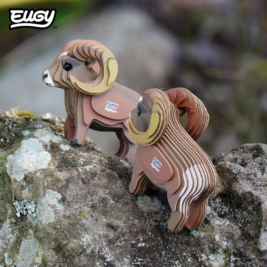 145 Bighorn